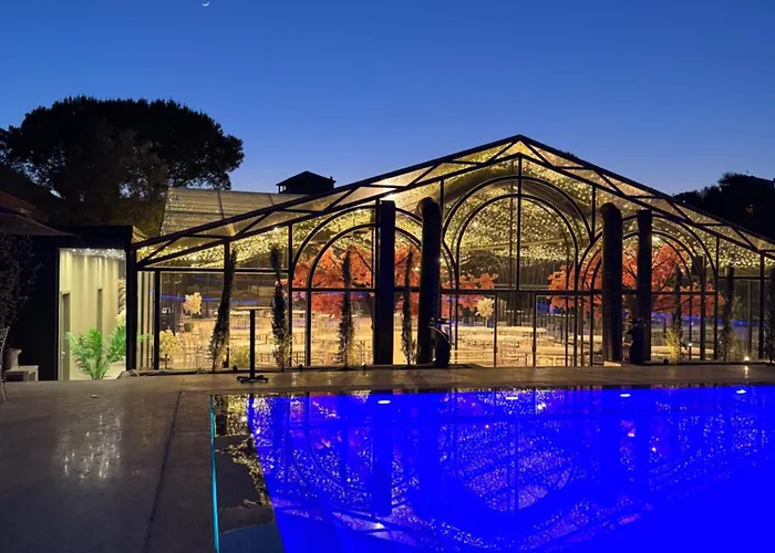 Olea Glass 地拉那